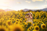 Leaf and Lens Flare Overlays Bundle - Image 5