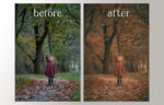 Autumn Brown Bundle - 3 Packages - Image 2