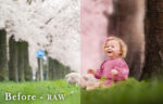 Blossoms Presets + Lens Flare Overlays Bundle - Image 2
