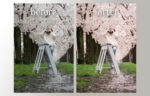 Blossoms Presets + Lens Flare Overlays Bundle - Image 4